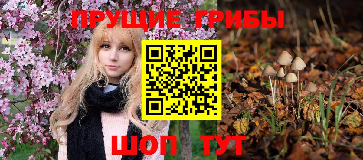 Псилоцибиновые грибы GOLDEN TEACHER  где купить   Прохладный  Вход с VPN 
