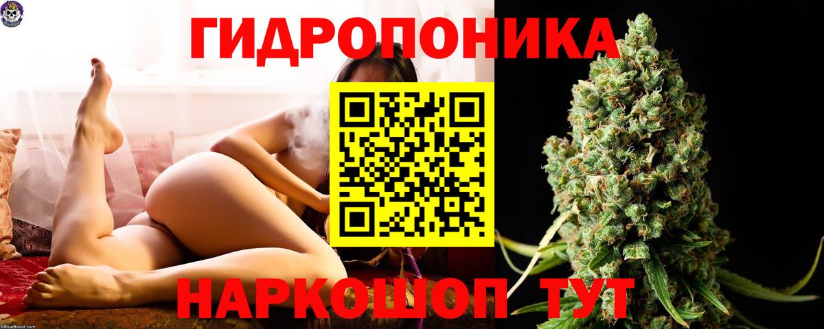 Марихуана THC 21% Прохладный